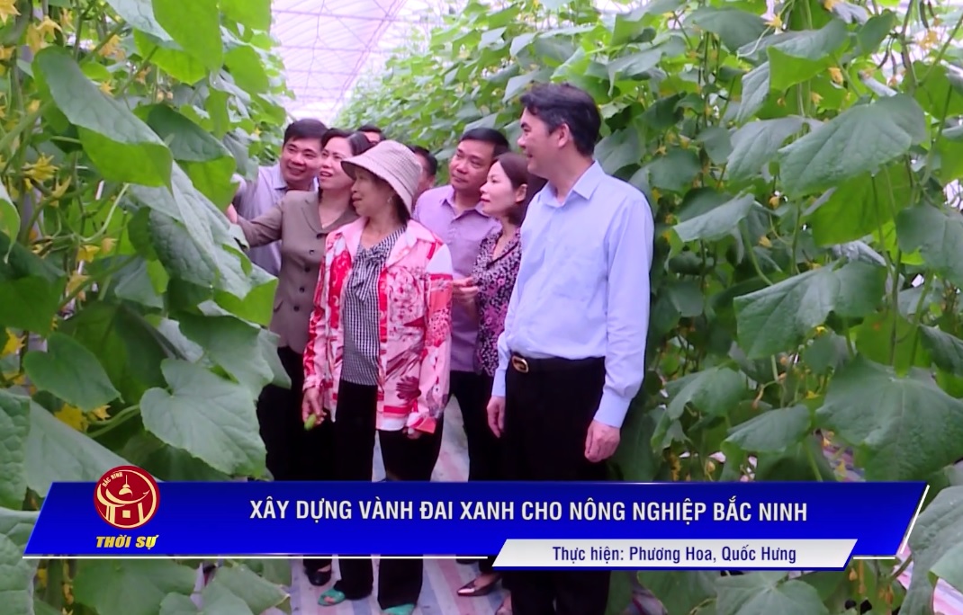 Xây dựng vành đai xanh cho nông nghiệp Bắc Ninh.mp4
