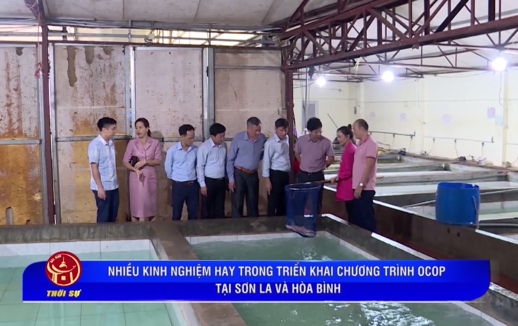 Nhiều kinh nghiệm hay trong chương trình Ocop tại Sơn la, Hòa Binh.mp4