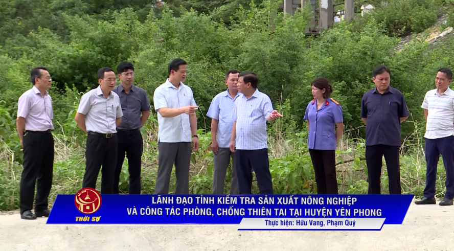 Phó Chủ tịch TT UBND tỉnh Vương Quốc Tuấn kiểm tra sx nông nghiệp và PCLB tại Yên Phong.mp4