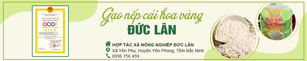 Nep-Cai-Hoa-Vang.png